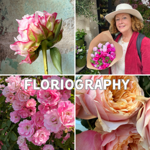BLOOMS FRANCE Floriography composite reduced file