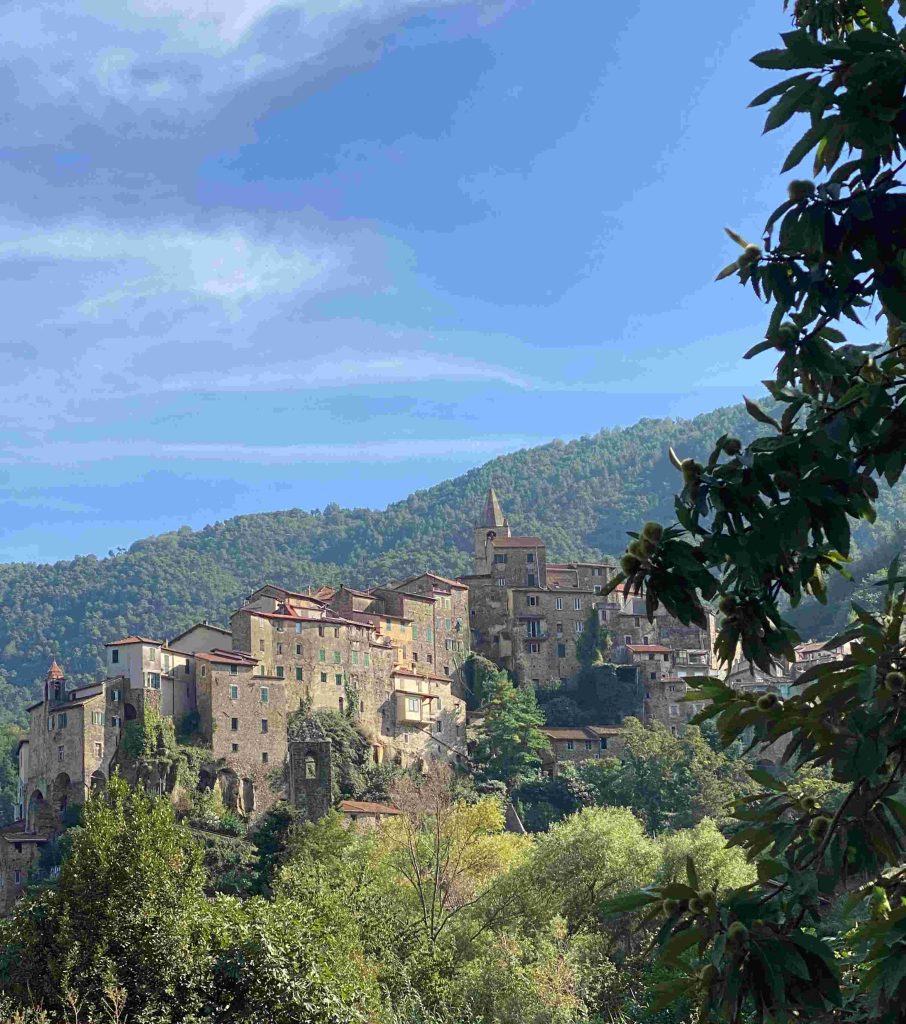 Italy Tour Ceriana from spring fed pool